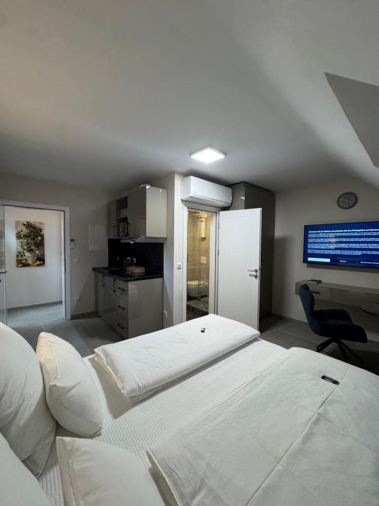 Apartment am Rhein 3
