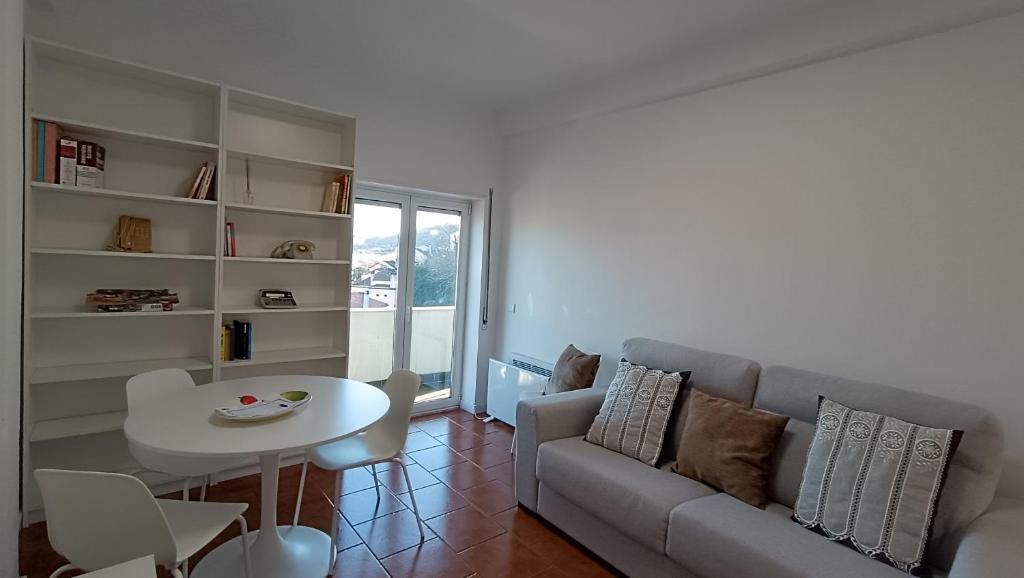 Coimbra's Gray & White 7