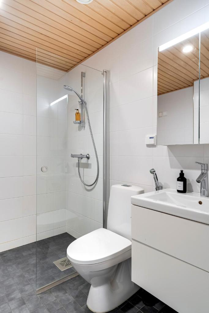 Simple studio for two in Turku Center 3