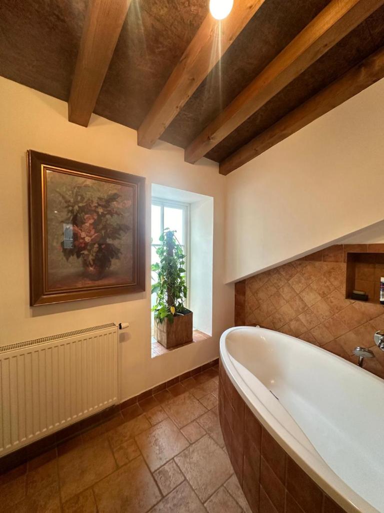 Apartmán Míšeňská 3