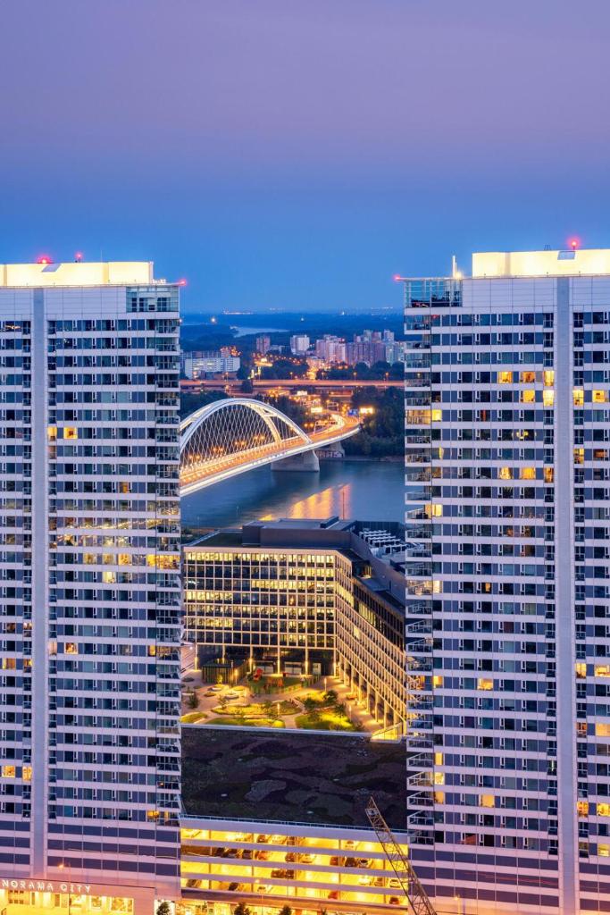 29th floor Luxury Skyline 1BDRM Apartment - Downtown City center 6