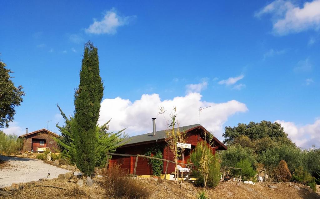 Casa La Colina Mandarina I 7
