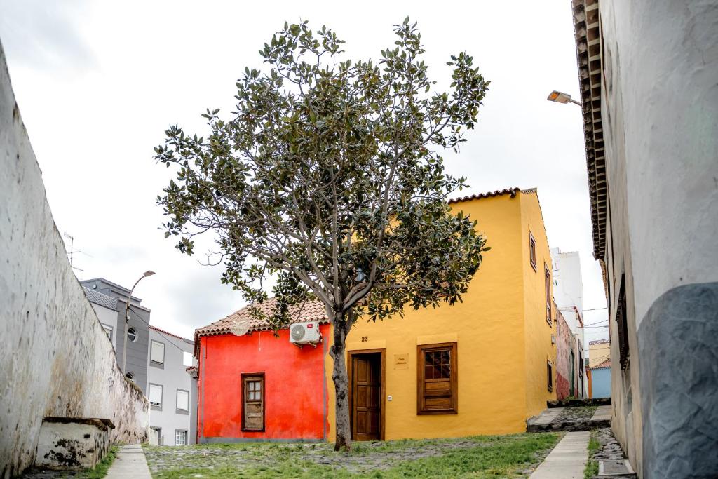Casa Antonita 6