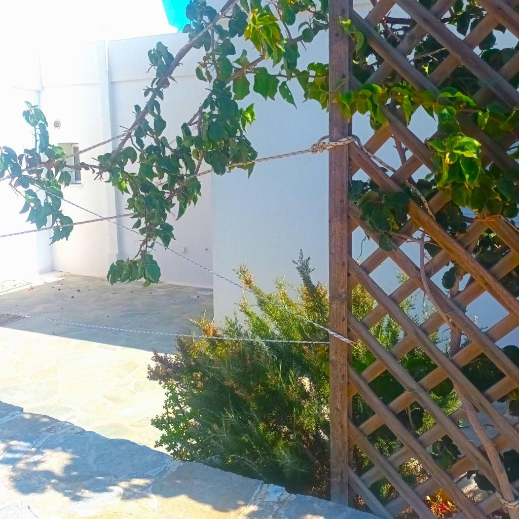 Endless Blue from Syros - Fabrika House 1 & 2 5
