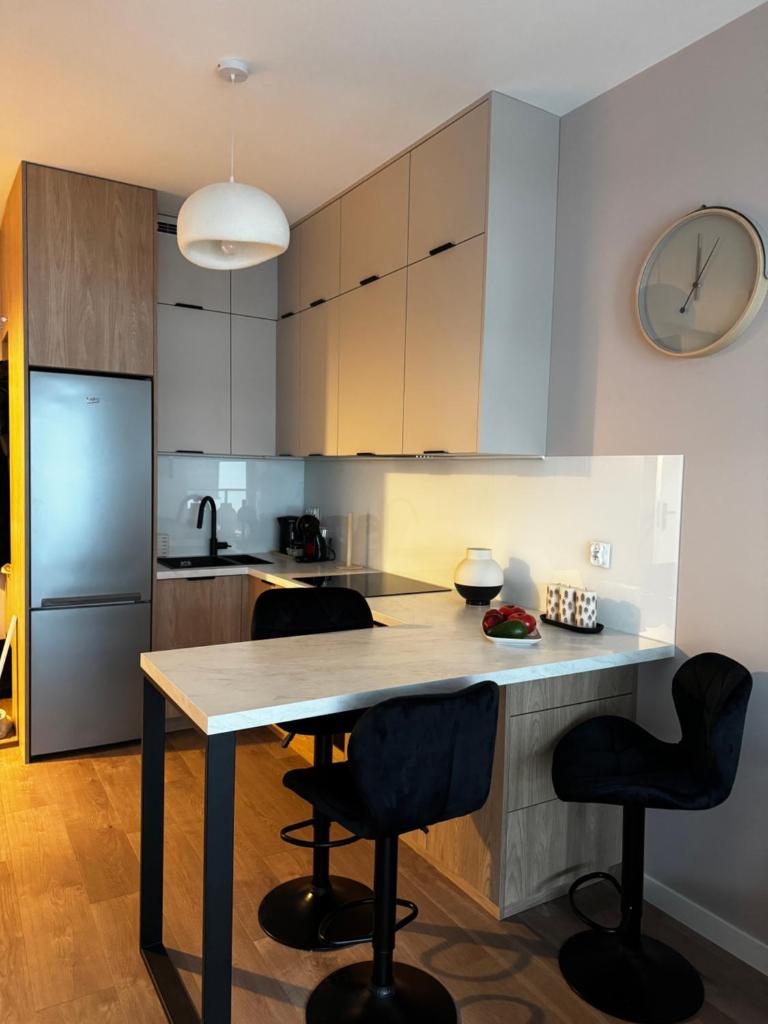 Apartament Szczecin NAD ODRĄ 8