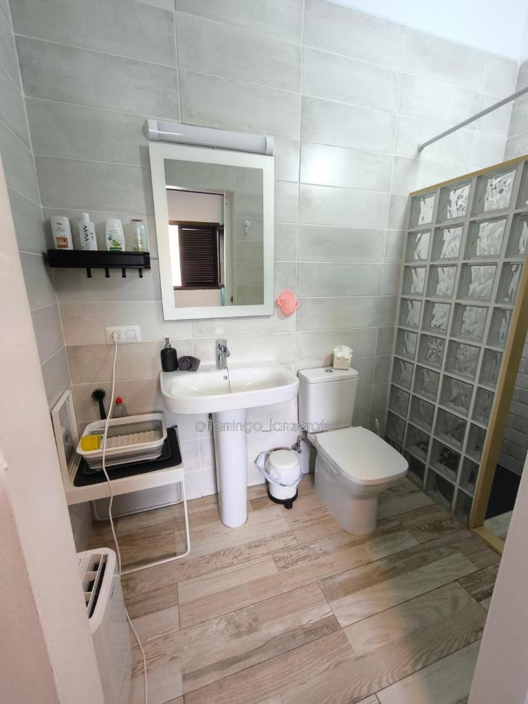 Habitación cactus, entrada privada y baño privado en suite by flamingo house, no fumadores 3