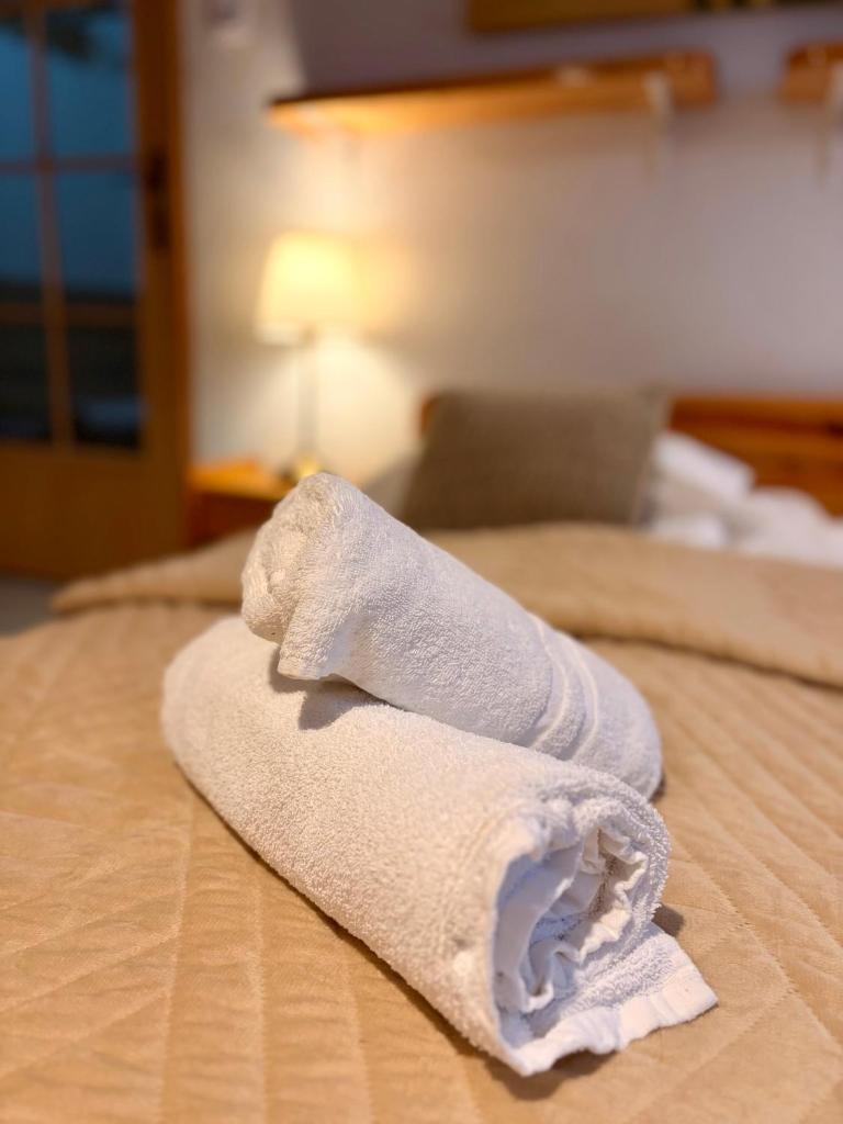 Spa & Pool Apartments Prestige VILLA IVICA 4