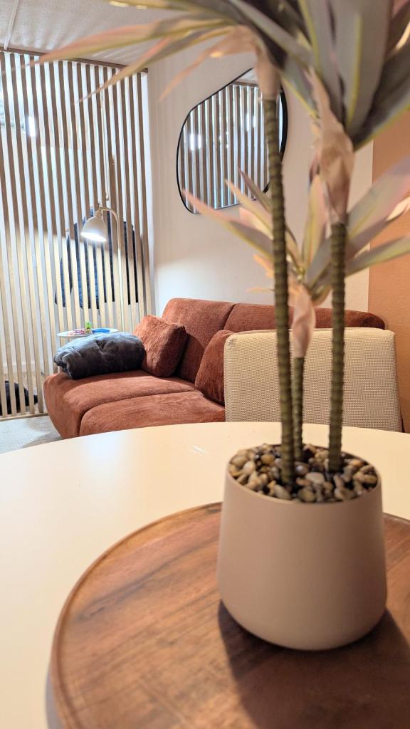 Zentral Wohnung kurz vor Linz nähe Autobahn 2