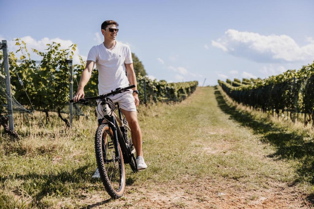 Weingut & Winzerhäuser Skringer 6