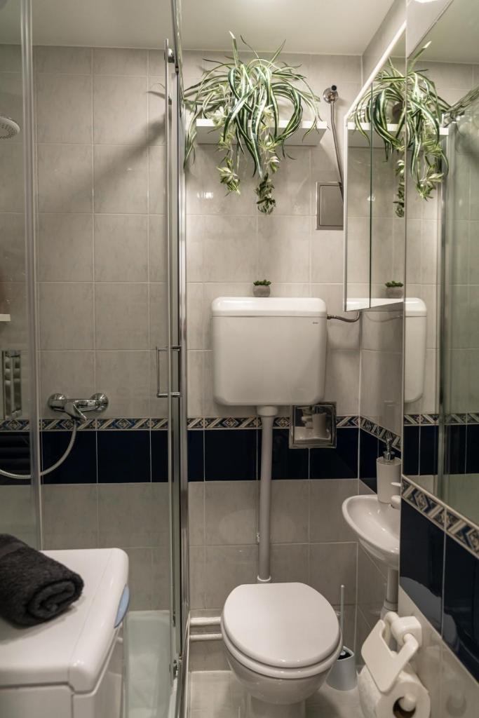 Apartma Nadja 8
