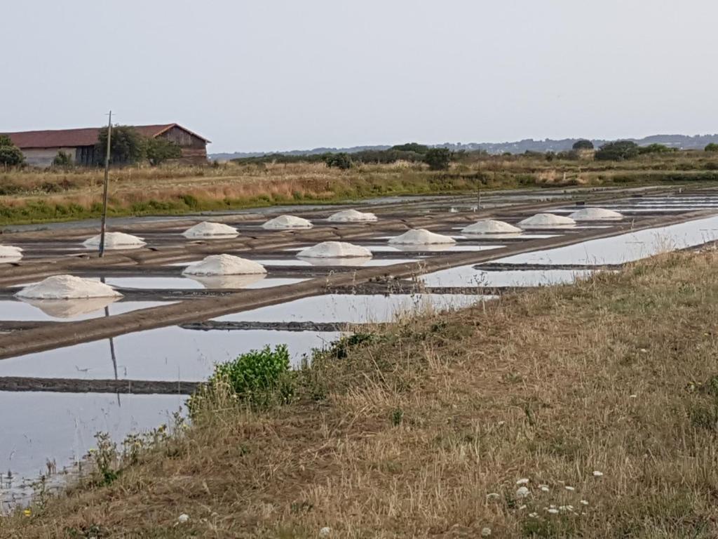 évasion entre mer et marais 8