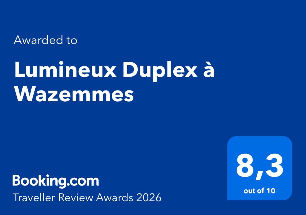 Lumineux Duplex à Wazemmes 2