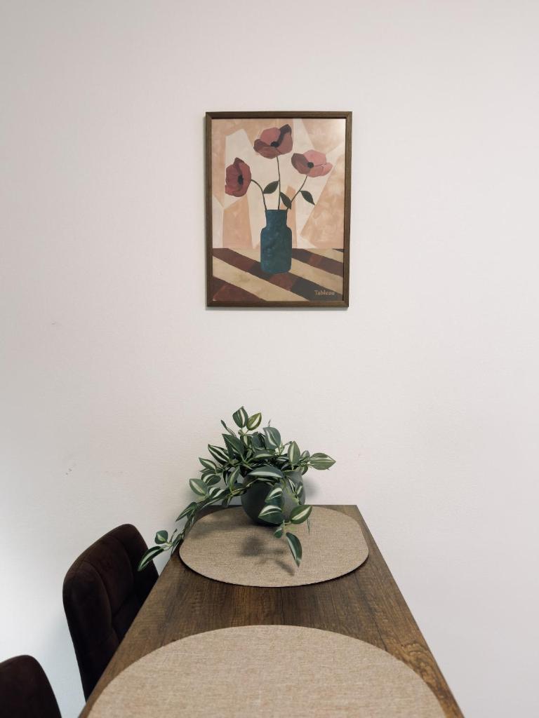 Studio apartments Kubanske 4