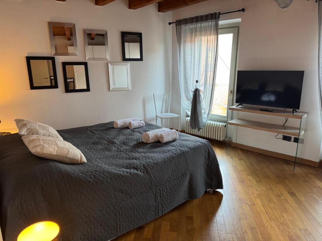 Houseberg Quarenghi sx 5