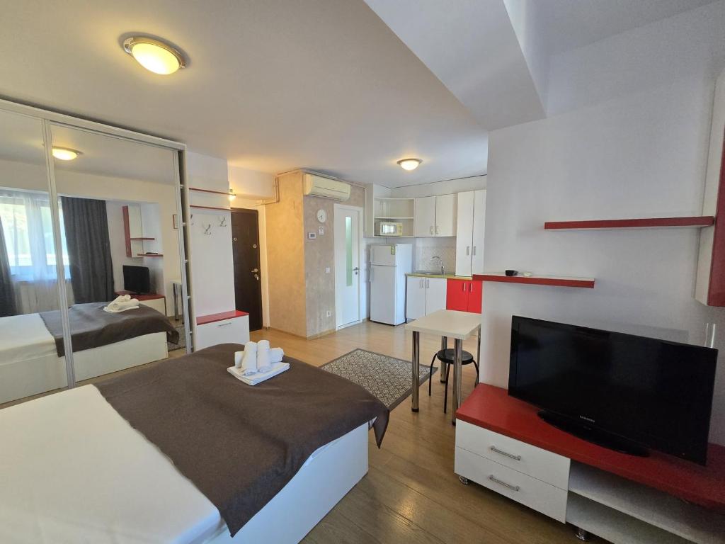 Decebal Residence Apartments 4