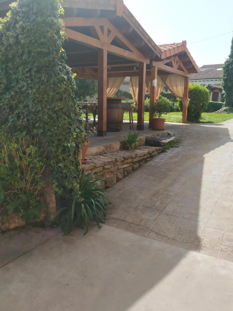 El Campo de Petra 7