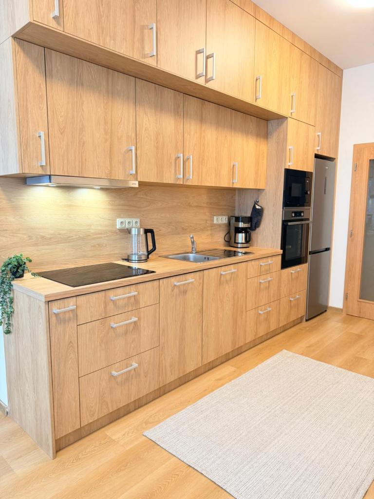 Parkside Apartments Prague 3