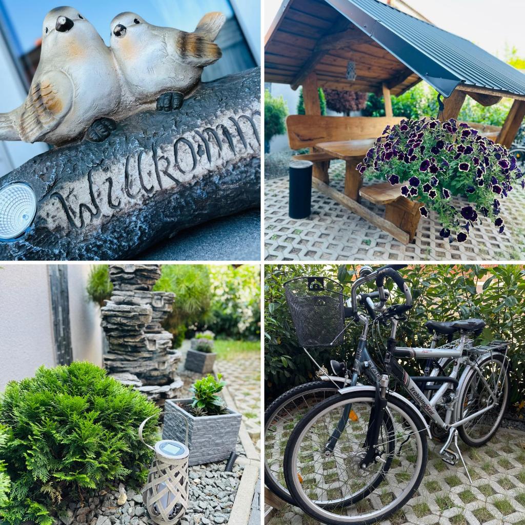 Ferienwohnungen in Erfurt 7