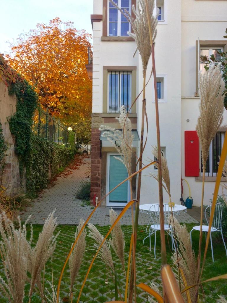 Villa Schiller, 2 studios côté jardin - quartier Orangerie 7