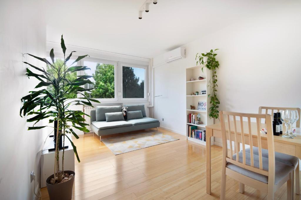 Cozy donkey - sporty lake apartment, flexible check-in, netflix 5