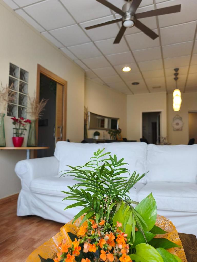 Comodo apartamento 8