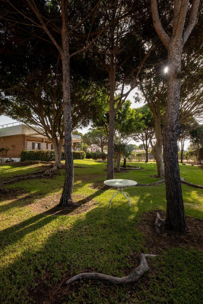 Casa del Abuelo Isla Canela 5