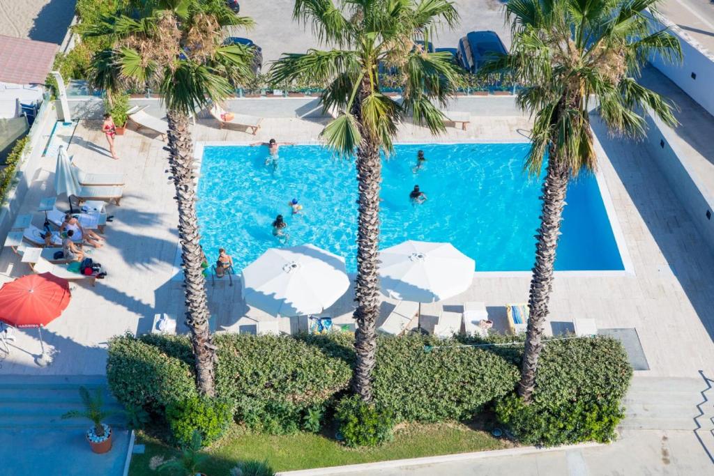 une vue aérienne d'une piscine avec des palmiers dans l'établissement Sea Lion Hotel, à Montesilvano