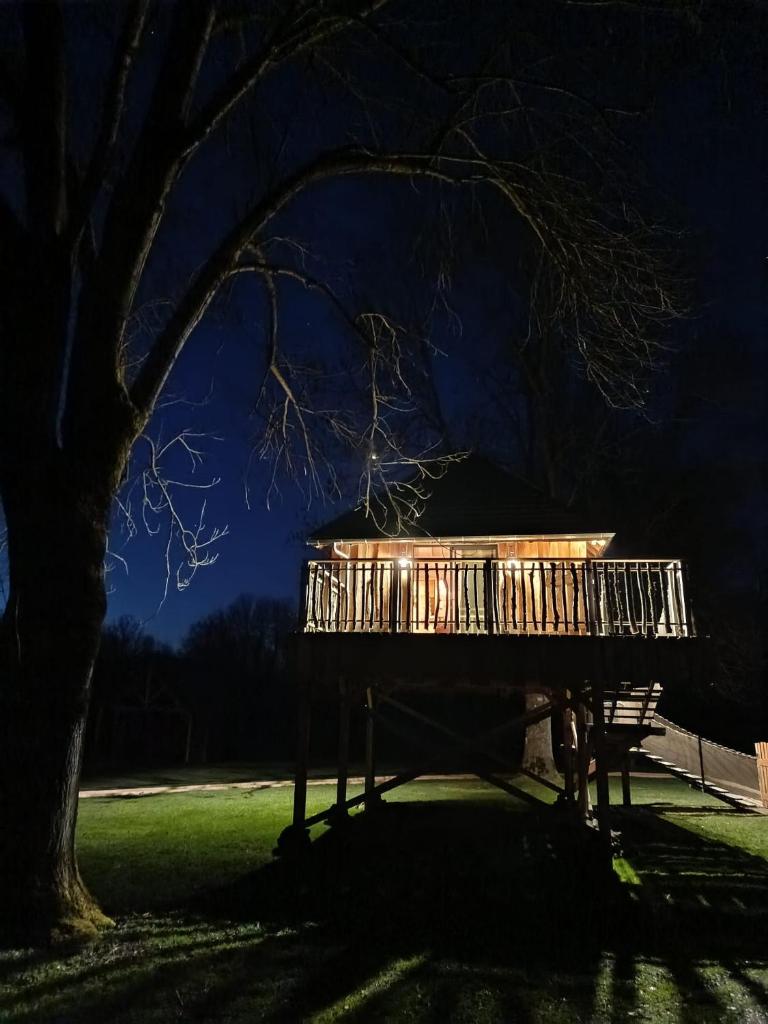 Chalets et cabane perchée "Ô Cœur des Puys" 5