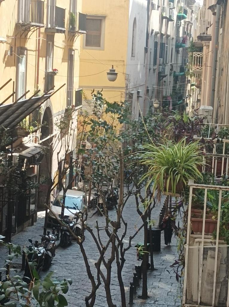 VAN Vieni a Napoli 6