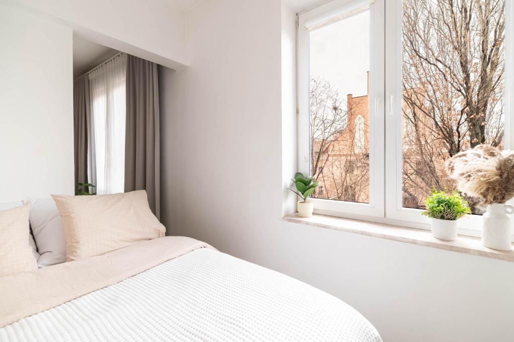 Luxury Dream Old Town Apartment 12 7