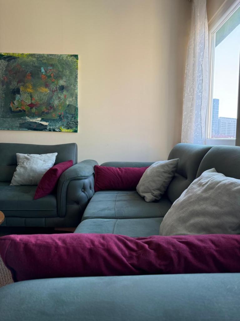 Prishtina City View Apartment 1