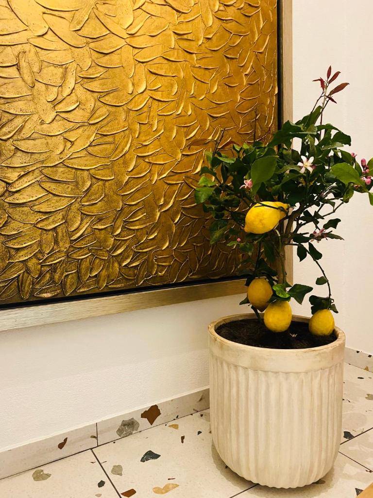 Rooms & Apartment ZALA Near Airport 6