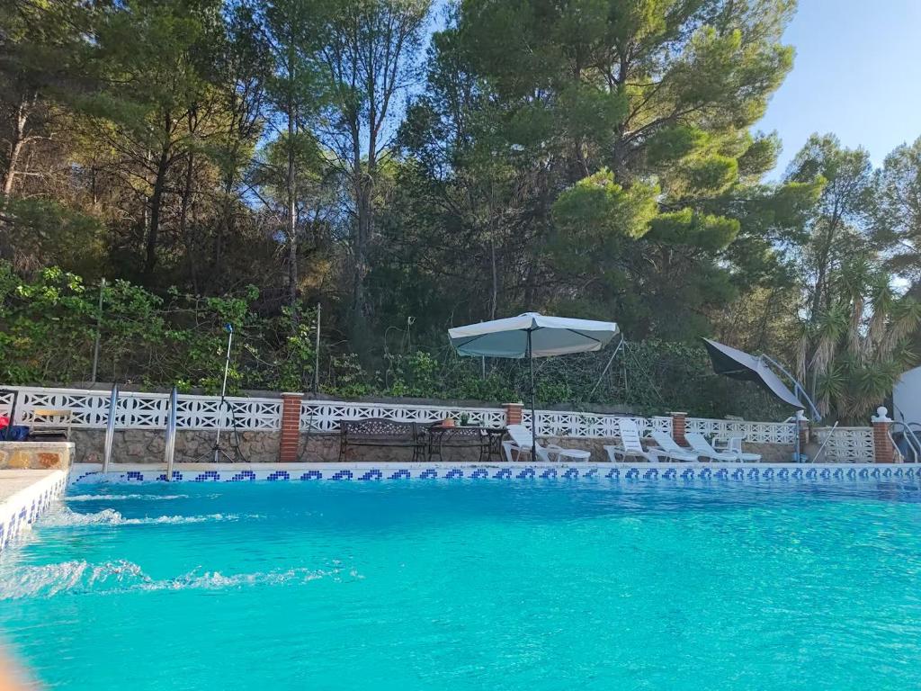 Buenas vistas y privacidad, tranquila y fresca villa en el bosque de Valencia con una magnífica piscina de 80m2 4