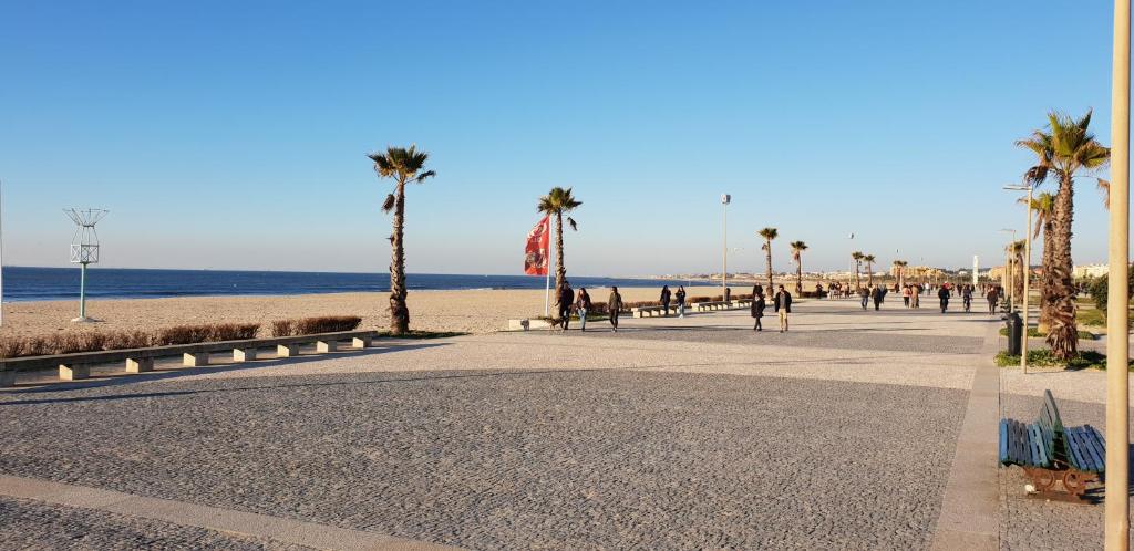 The Shore at Seaside Paradise - Beach, Terrasse, Pets Friendly 5