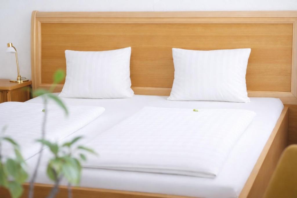 Stadthotel Carinthia 8