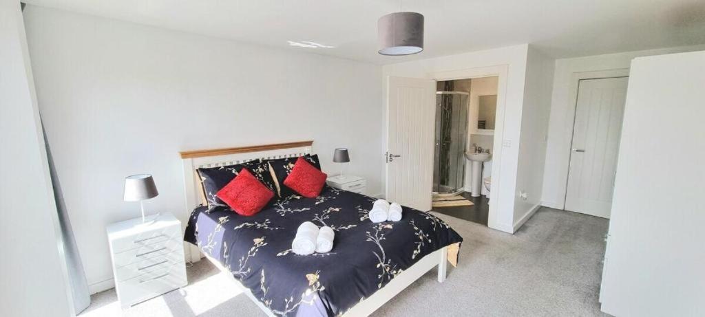 Central Belfast Apartments Sandford 8
