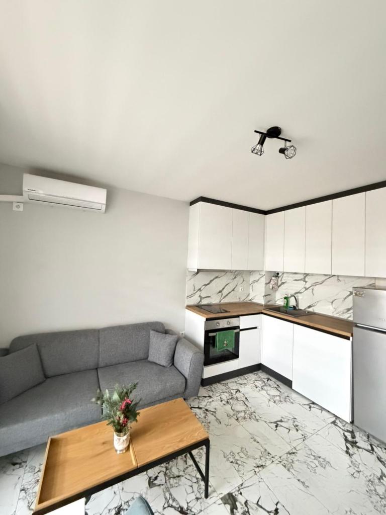 214th Residence One Bedroom Apartment 2