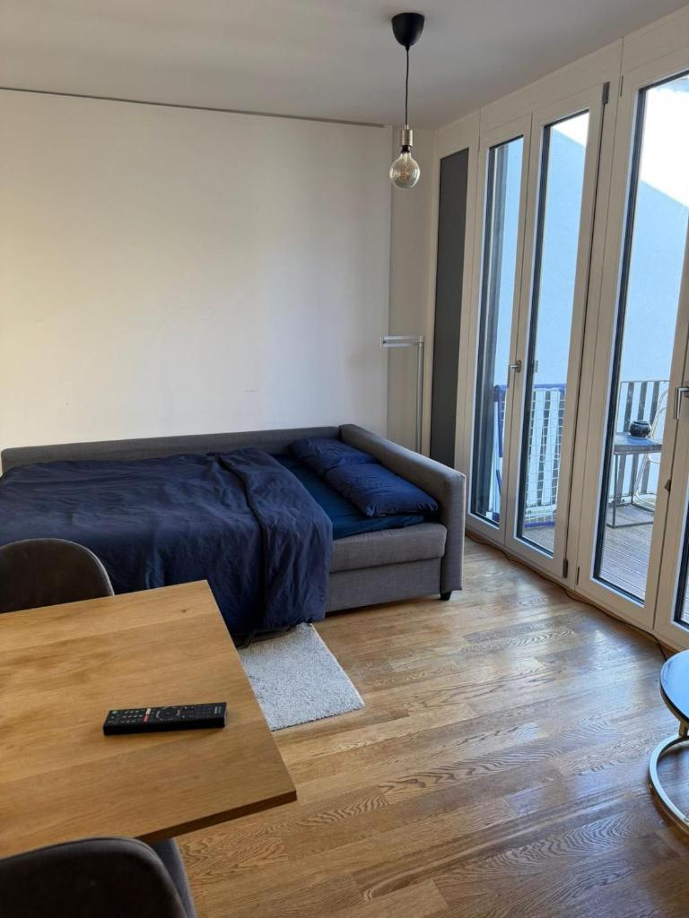 Modern 1 Bedroom Apartment in Munich City 4