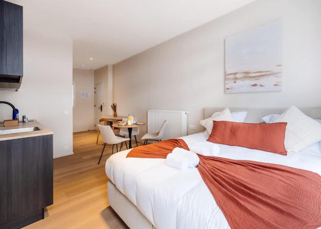 Modern Renovated Studio in the Vibrant Heart of Ghent 3