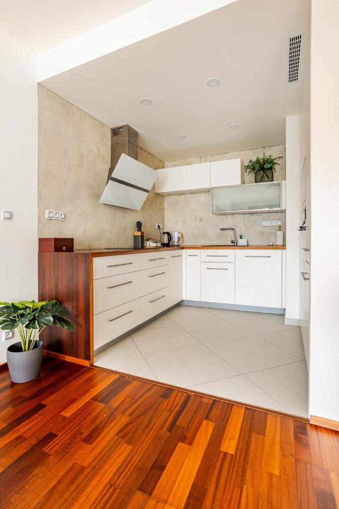 Luxury Apartment in the Heart of Prague 3