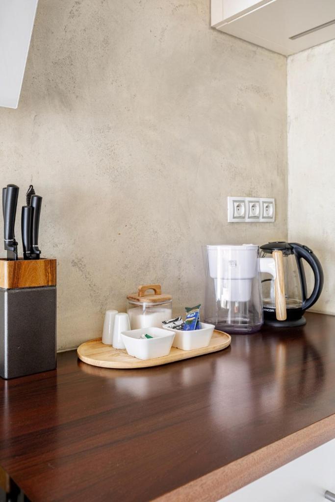 Luxury Apartment in the Heart of Prague 7