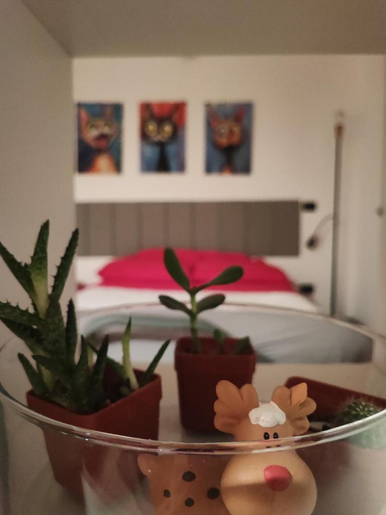 Leo House 5
