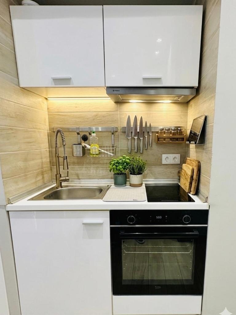 Luxury cozy appartment in the city center 4