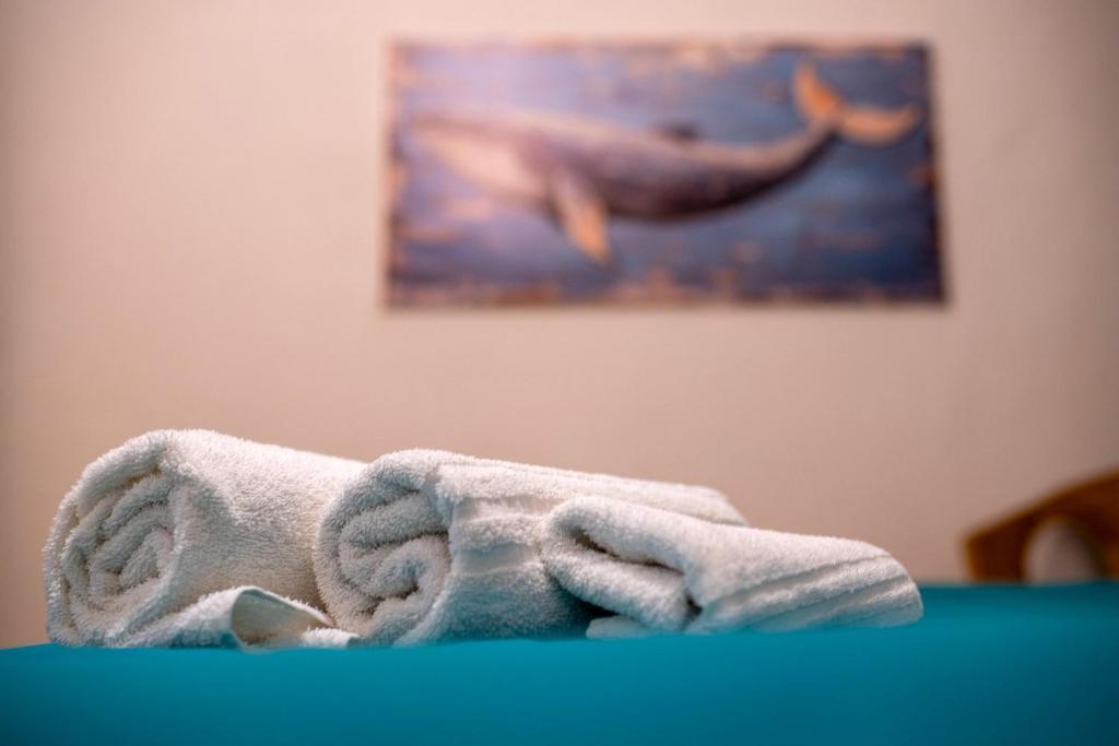 Brezza Marina Apartment, Zona Porto, Livorno 7