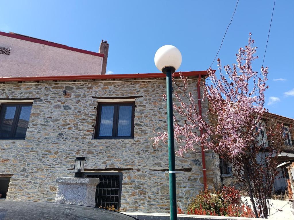 Casa Lehovo 3