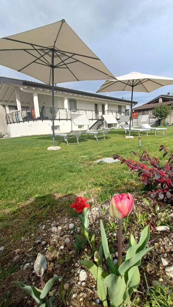 APPARTAMENTO " Le Terre del Garda " 4