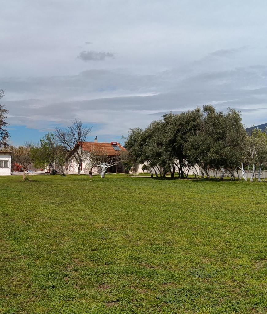 Aggelos Gardenhouse of Volos 1