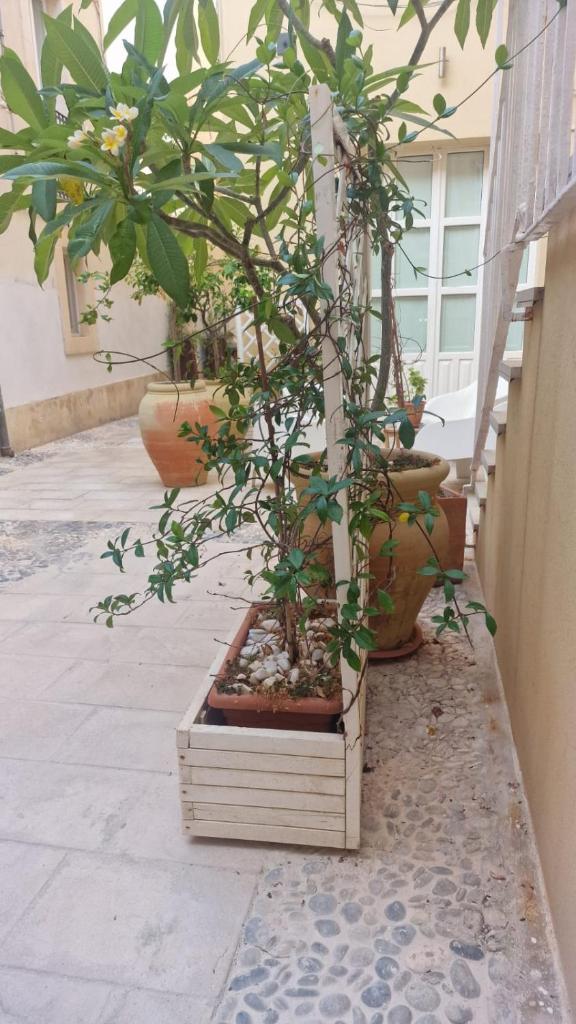 Ortigia Artemide SPA 6