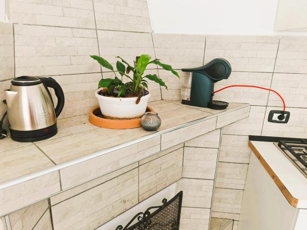 Casa Conero Nature & Bike 5