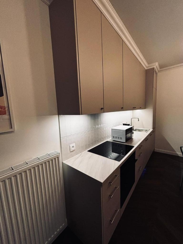 Cozy and quiet apartment in the city centre 8